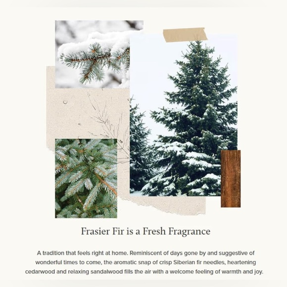 🔥Promotion Thymes Frasier Fir Candle – Pine Needle Design – Holiday Candles - Picture 7 of 7